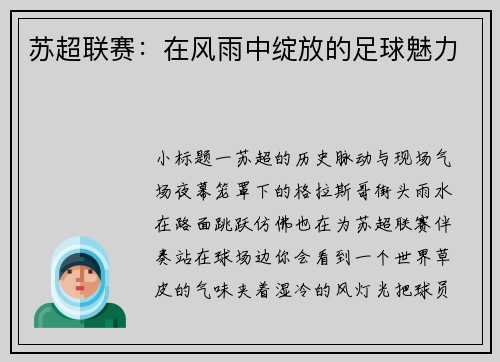 苏超联赛：在风雨中绽放的足球魅力