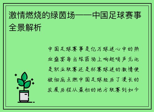 激情燃烧的绿茵场——中国足球赛事全景解析