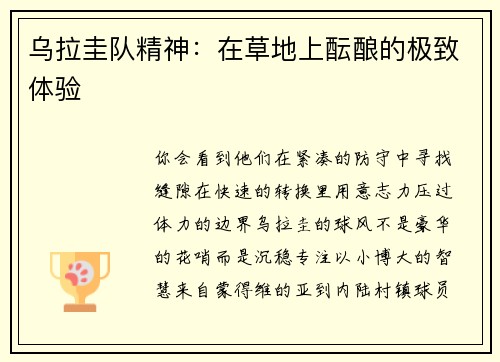 乌拉圭队精神：在草地上酝酿的极致体验